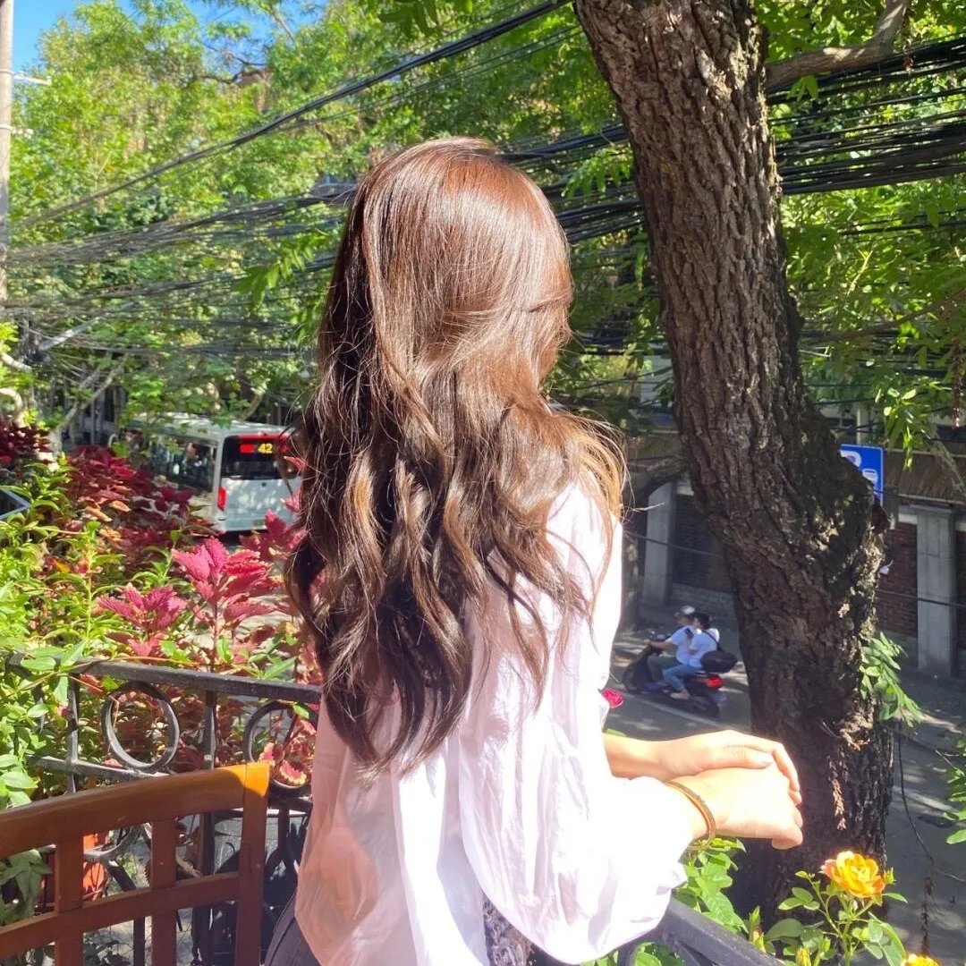 那年夏天的乐声